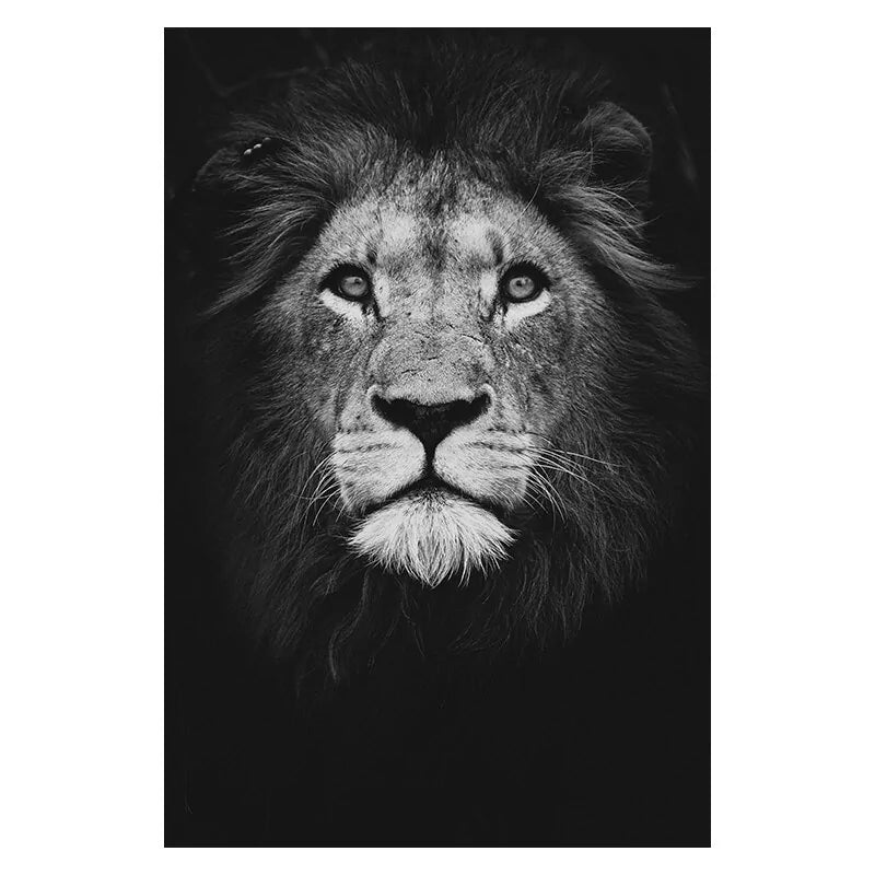 Canvas Exotic Animal Wall Painting Collection