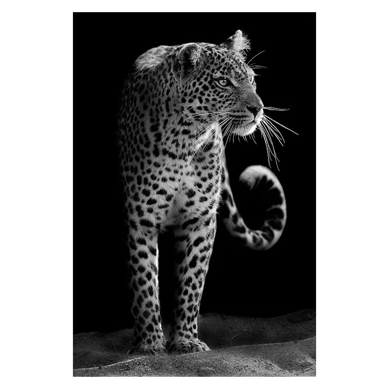 Canvas Exotic Animal Wall Painting Collection
