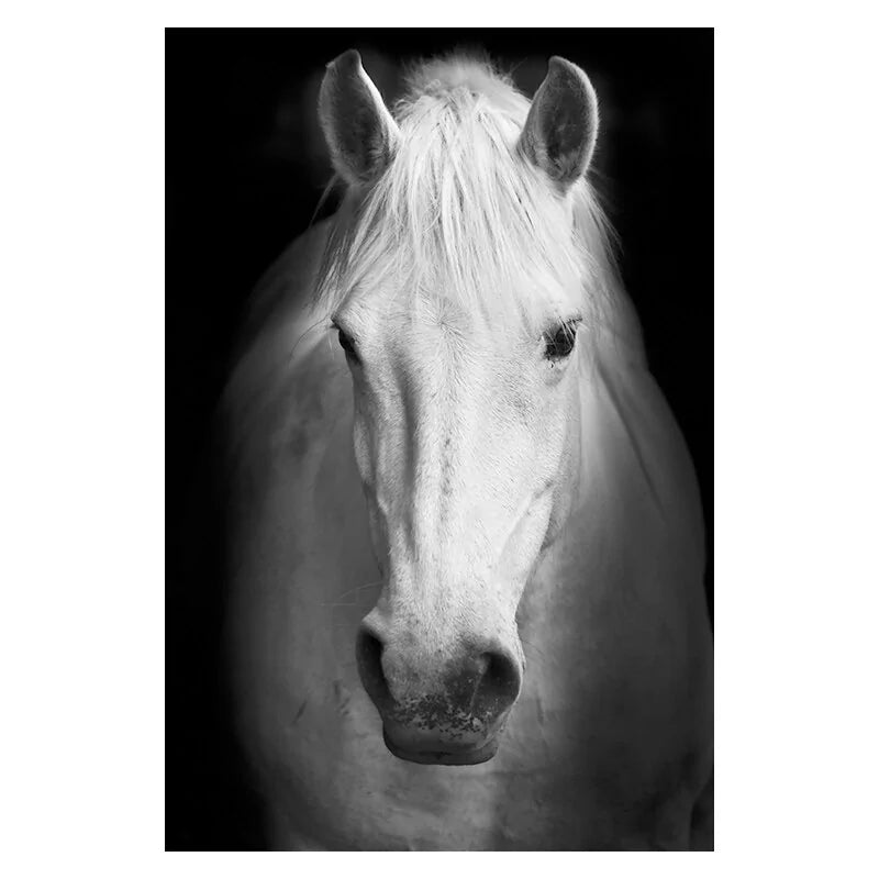 Canvas Exotic Animal Wall Painting Collection