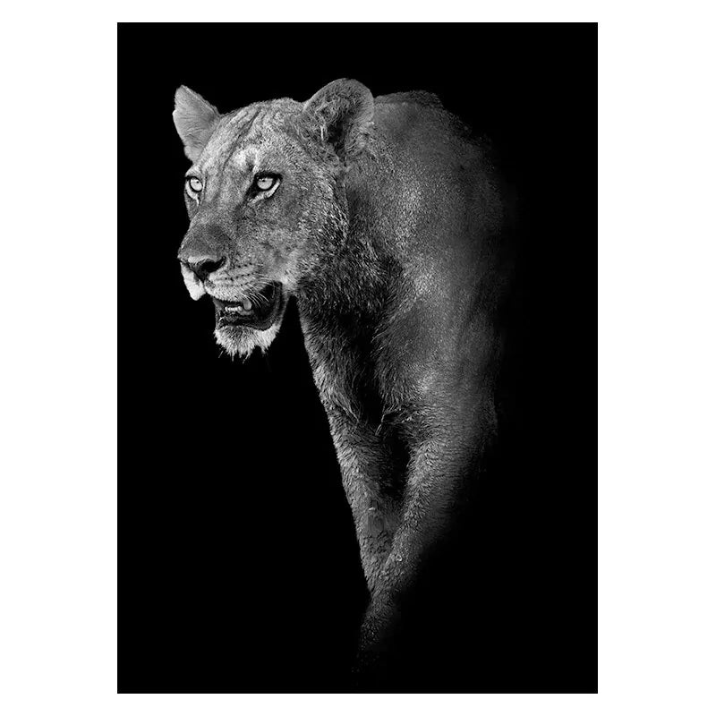 Canvas Exotic Animal Wall Painting Collection