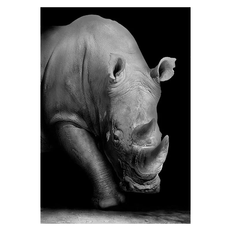 Canvas Exotic Animal Wall Painting Collection