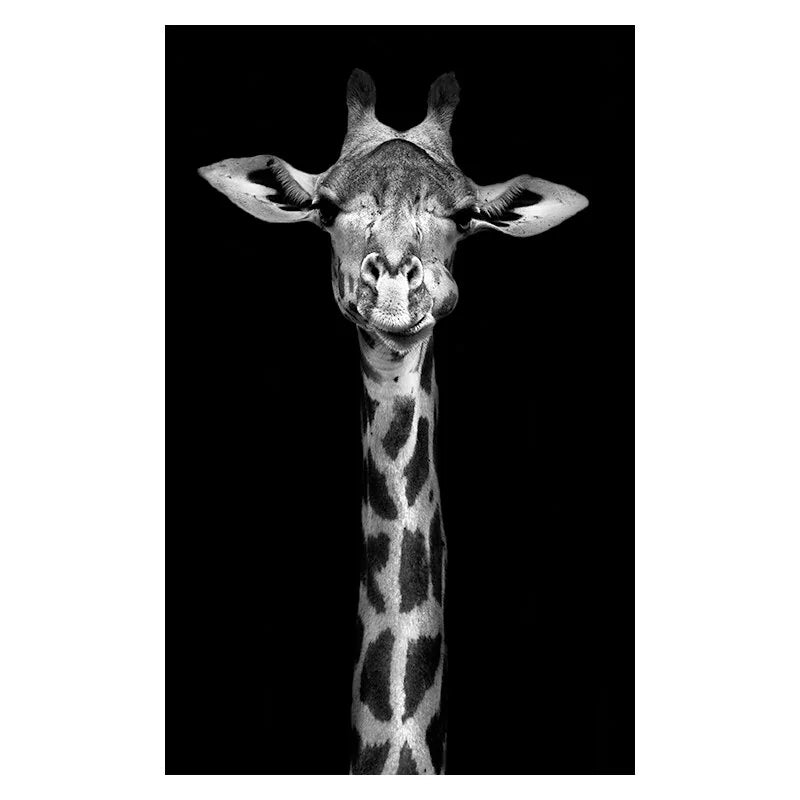 Canvas Exotic Animal Wall Painting Collection